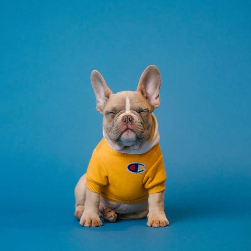 TRƯỜNG CAO ĐẲNG DẦU KHÍ